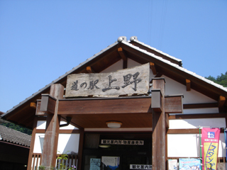 DSC00699.jpg