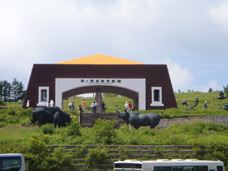 DSC00712.jpg